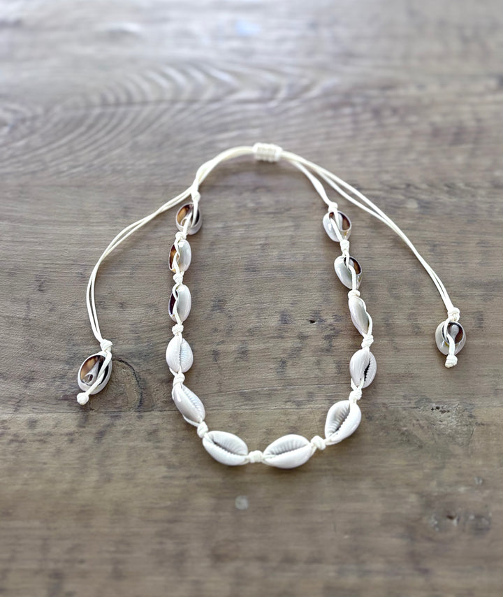 Cowrie Shell Choker